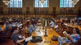 nypl