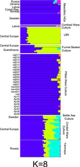 ajpa24079-fig-0005-m