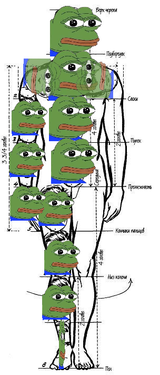 Thread 17865619 OP Image