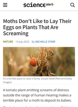 plantsfeeldistresstoo