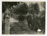 Red_Army_enters_the_territory_of_Lithuania_during_its_occupation,_1940