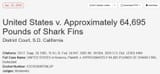 shark fins