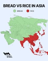 Thread 17870149 OP Image