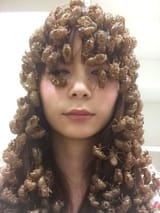 Cicada