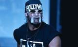 hollywood hogan 2