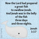 Bible Verse OT Jonah 1 v 17 at Sandra&#039;s Ark 800x800