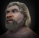 image_12469_1e-Old-Man-Neanderthal