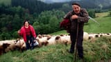 basque shepherd
