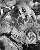 0637443-WWII-DEAD-NAZI-1945-Decomposing-body-of-a-Nazi-with-a-swastika-armband-after-the-firebombing-of-Dresden-Germany-during-World-War-II-Photograph-1945
