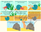 How a fossil is formed