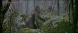 Homo Erectus Quest For Fire