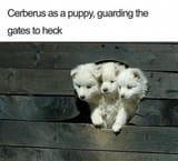 169341