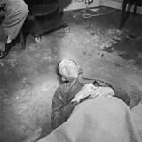 Nazi_Suicides