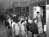 holocaust propaganda 5