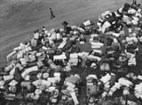 holocaust propagand 6
