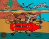 1608167558-761-5393-acme-rocket