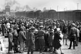 Selection_on_the_ramp_at_Auschwitz-Birkenau,_1944_(Auschwitz_Album)_1b