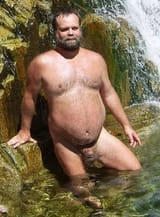 Bear in the water