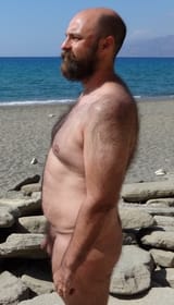 distinguished w beard