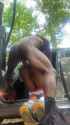 3Ja1ypw1cEp-nEQt_thumb.jpg
