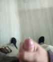 VID_20250311_074751_167_thumb.jpg