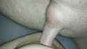 take (87_1)_internal_thumb.jpg