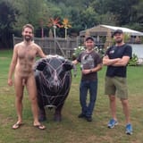 No Bull!