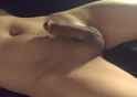 1500847622412_thumb.jpg
