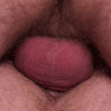 ms_29