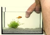 aquarium_3