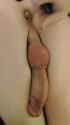 CrookedTurquoiseSawfish-mobile_thumb.jpg