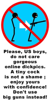 US_guns-sph