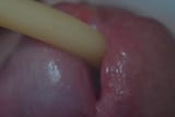 DSC06100