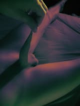 DSC000977