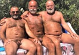 3 bears old