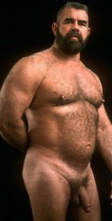 bear 1385