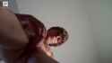 Privoy - tyler.t.1_thumb.jpg
