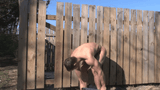 Tumblr_l_17601051475487