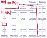 cousinchart