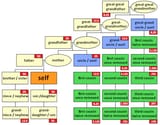 Cousin_tree_(with_genetic_kinship)