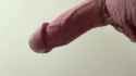 17382039478_thumb.jpg