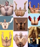 faggots