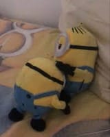 Thread 2676683 OP Image