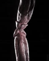 touch