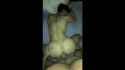 29481161a (1)_thumb.jpg