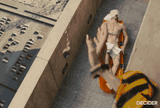 hiddleston-high-rise-1