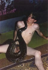 snake