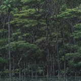 1622900620056