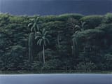 tomas_sanchez_-_orilla_en_la_noche__1993
