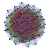 THE NETWORK